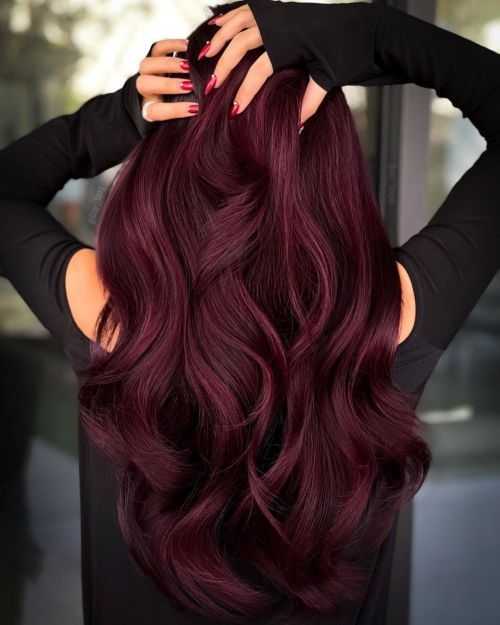 A person with long, wavy, dark burgundy hair, styled and flowing down their back.